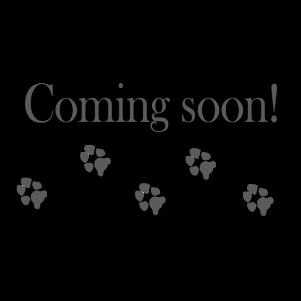 More Items Coming soon! Keep checking back! 🐶🐾❤️